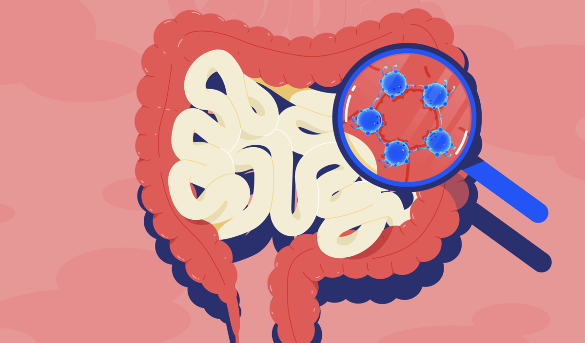 Nourishing the Gut: How Grape-Derived Stilbenes Enhance Intestinal Function, Morphology, and Microbiota