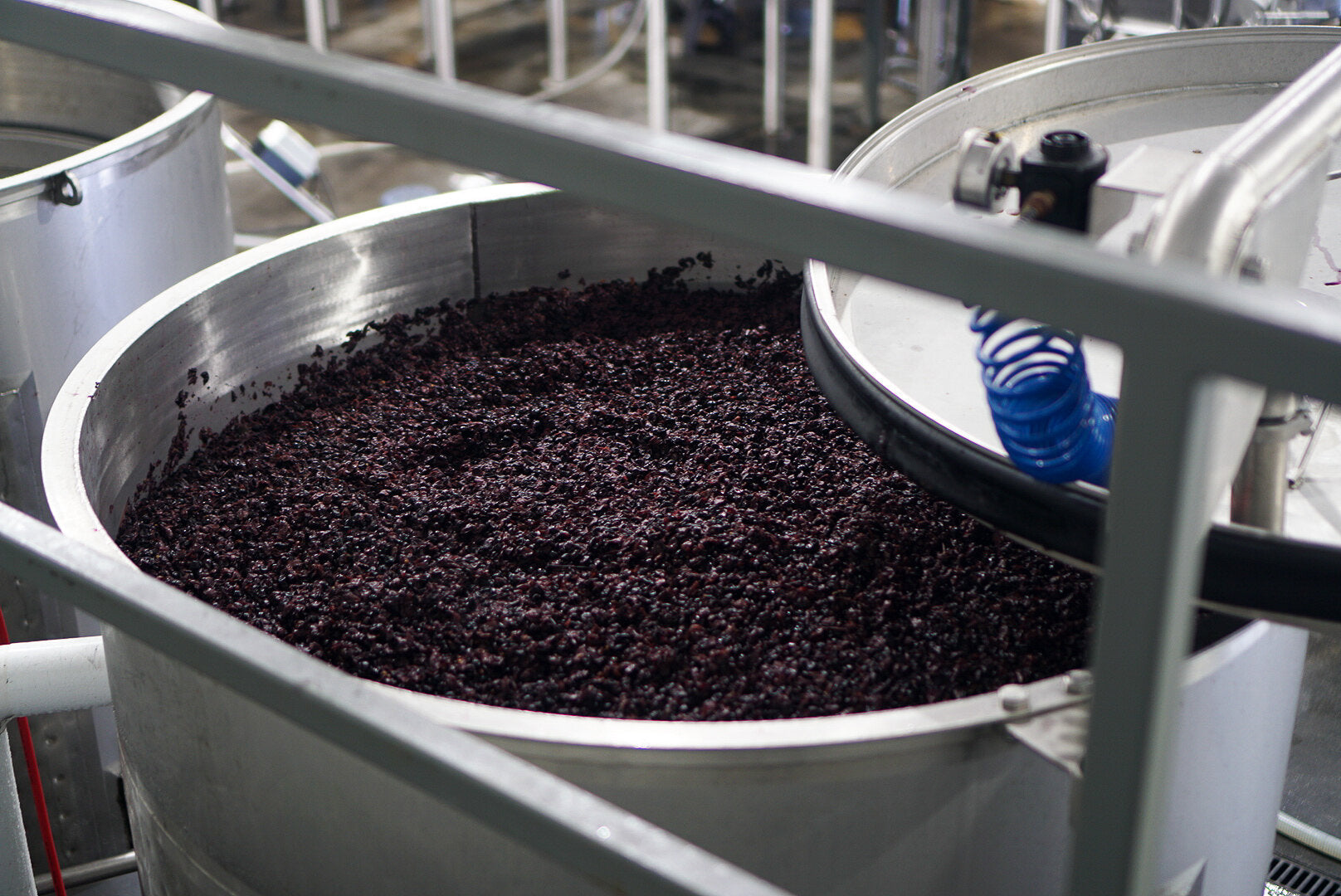 Cornell Study Finds the Potential in Grape Pomace
