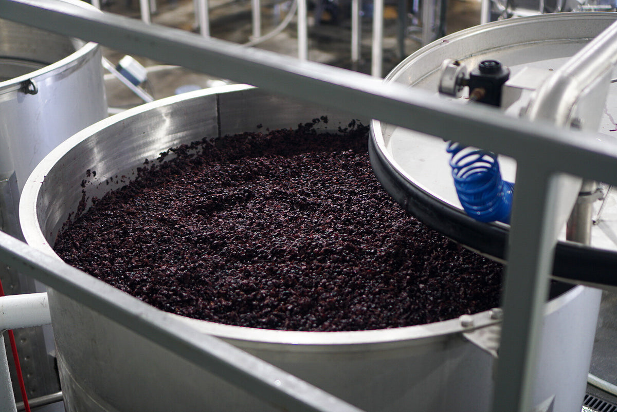 Grape Rgp Cornell Study Finds the Potential in Grape Pomace